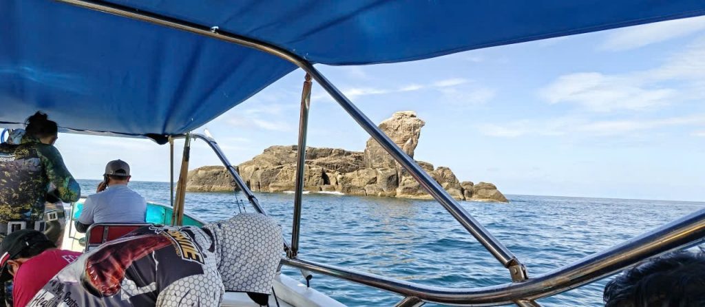 Câu cá côn đảo