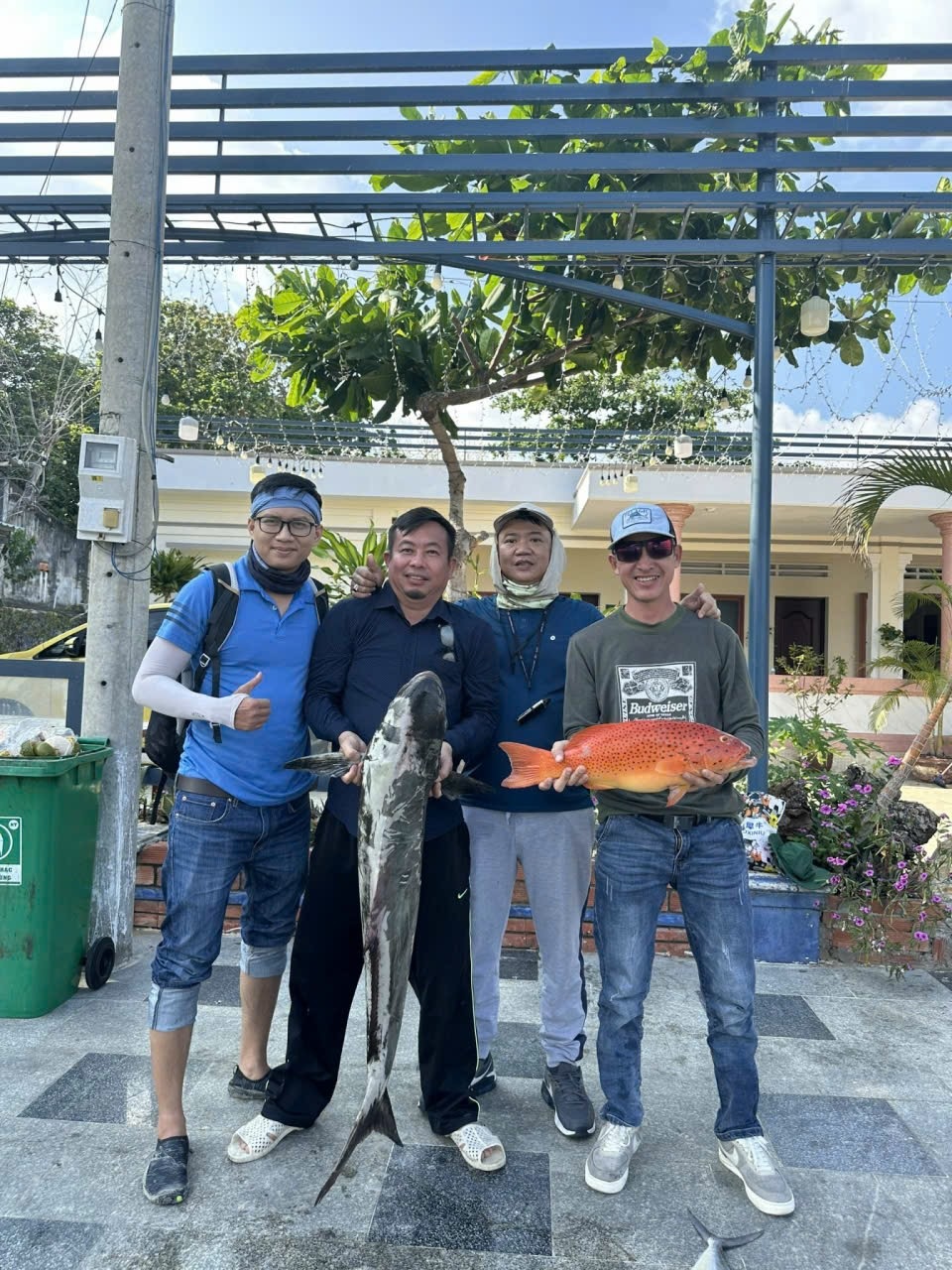 Cá mú câu Côn Đảo