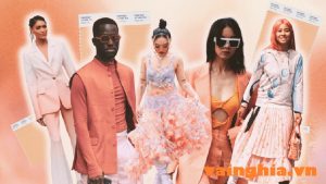 Các kiểu cổ jackquard