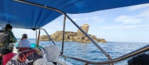 Câu cá côn đảo